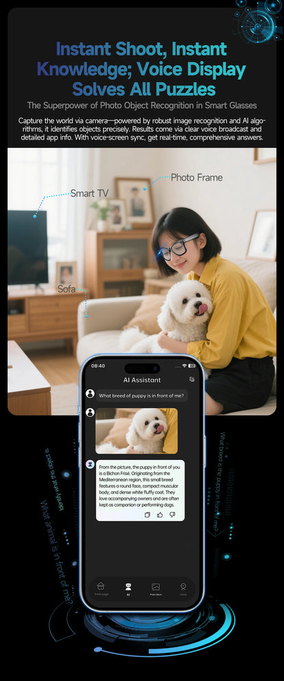 LIGE AI Smart Glasses 8MP HD Camera Video Bluetooth Call Intelligent Translation 270mAh Battery Voice Assistant Music Sunglasses